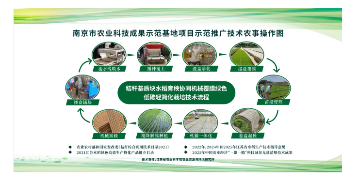 南京水稻实验，秸秆基育秧盘+生物降解地膜，亩净增收266~319元