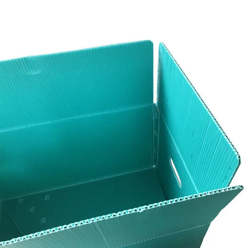 定制水果运输钙塑中空板箱蔬菜水果PE运输箱防潮塑料包装周转箱