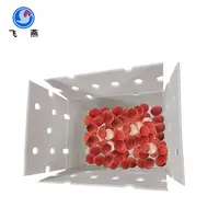 水果运输周转箱生产批发防潮PE中空板塑胶周转箱PE水果钙塑运输箱