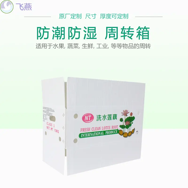 新款钙塑箱厂家 广西蔬菜中转钙塑包装箱 生鲜莲藕PE中空板运输箱