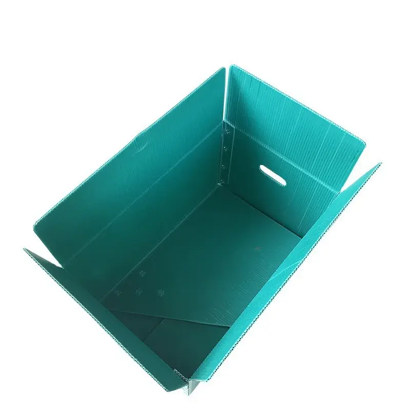 定制水果运输钙塑中空板箱蔬菜水果PE运输箱防潮塑料包装周转箱