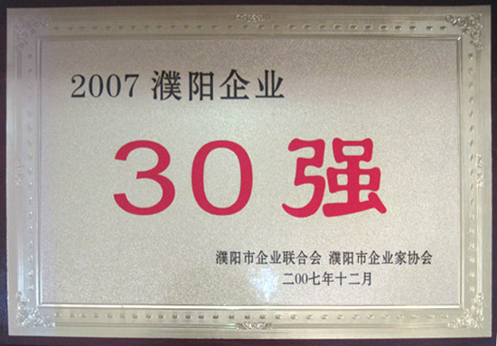 2007年濮阳企业30强