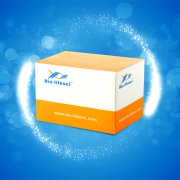 RAA核酸扩增试剂盒(荧光法)