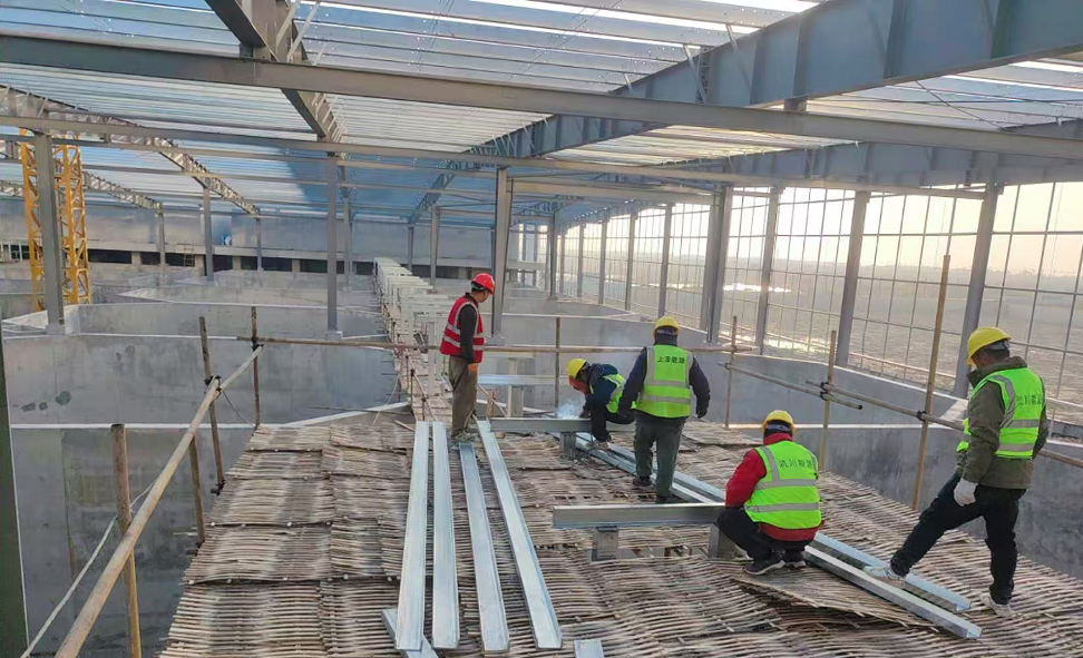 新誉农业三文鱼养殖项目