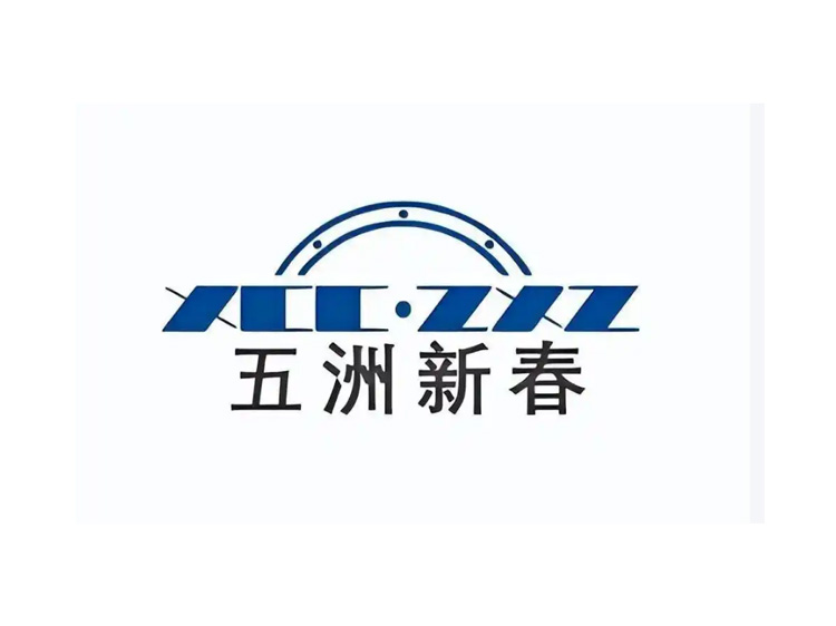 浙江五洲新春集团股份有限公司s