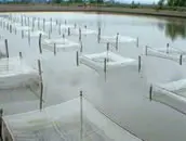 水产养殖网箱/水产养殖网