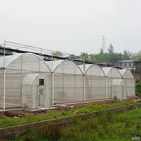 蔬菜大棚防虫网