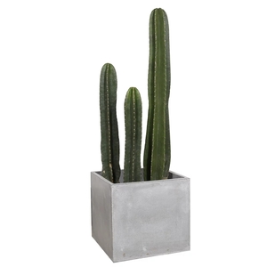 量天尺
