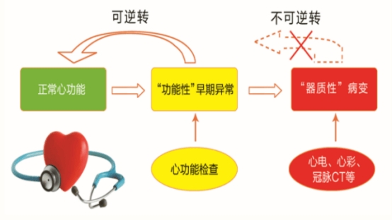 10206cea6c2af24990f9a48ac958377f