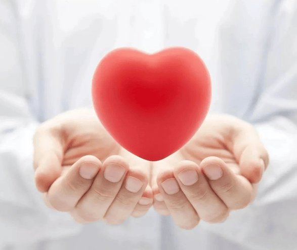 7dfed8bb744beab341979ed012946ee9