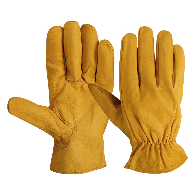 Driver's Gloves-109