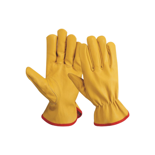 Driver's Gloves-109