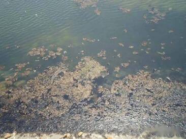 【技术分享】常见不良水质处理（上）