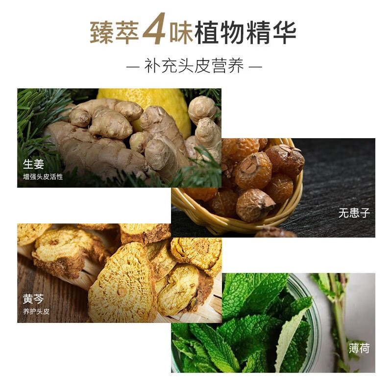 霸王生姜洗发液（控油蓬松型）