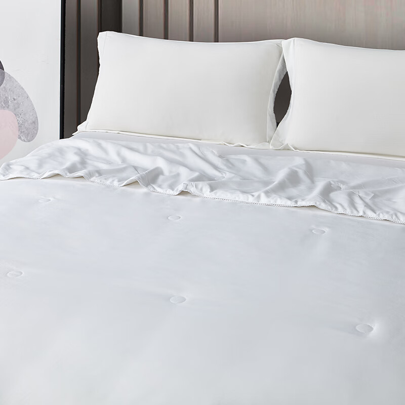 怡莲新尚蚕丝被