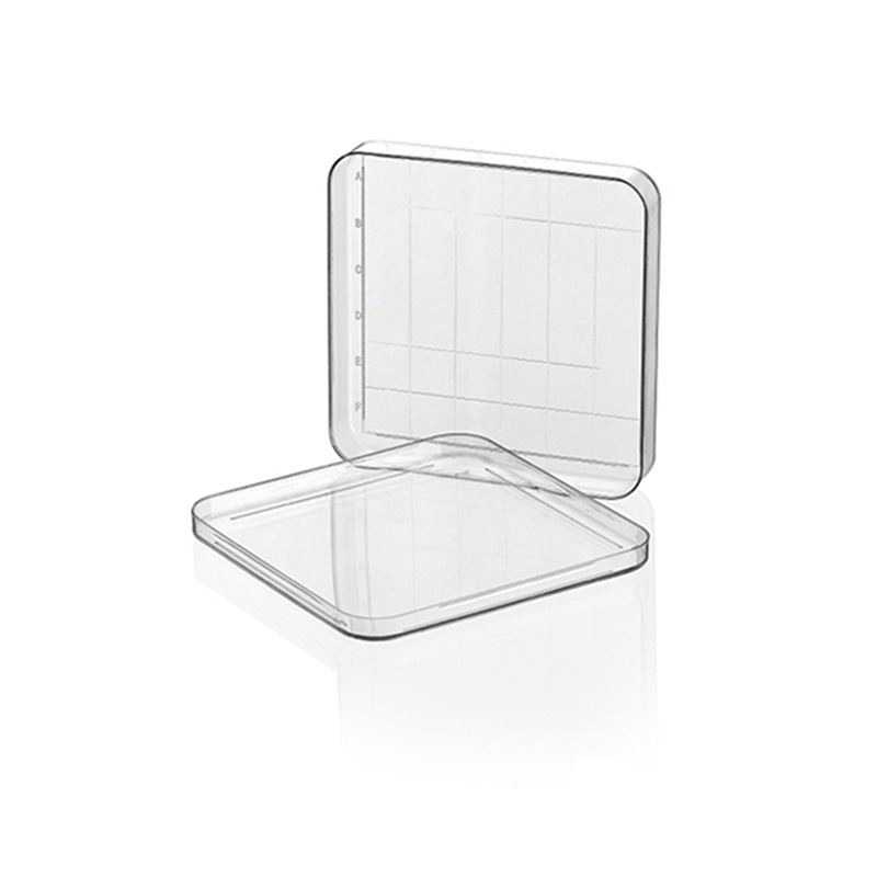 Square culture dish 100mm