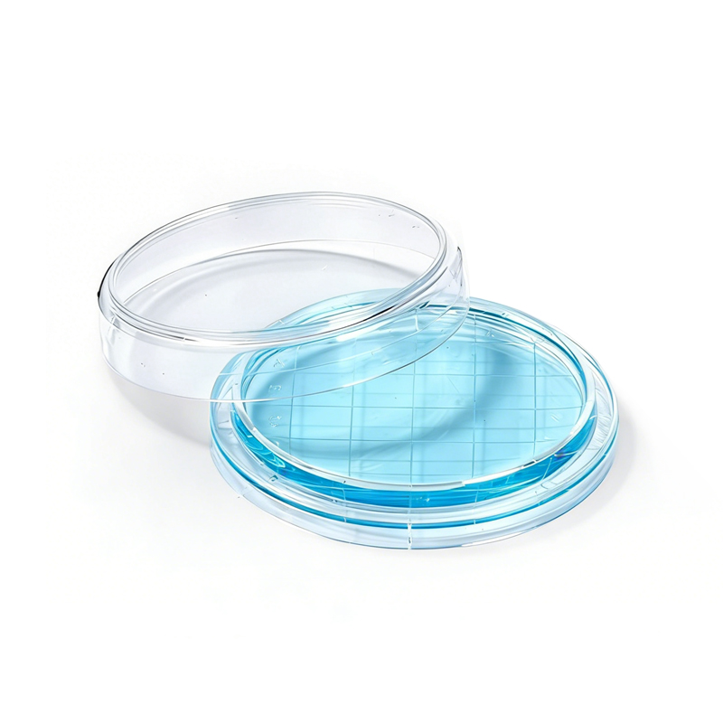 55mmc petri dish A1003