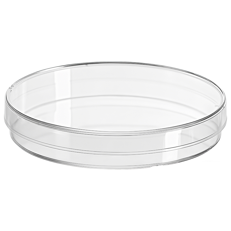 150mm petri dish A1008