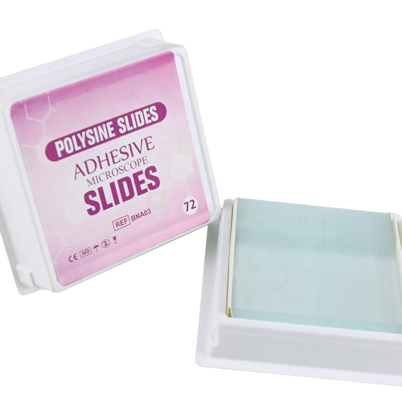Adhesive glass slide