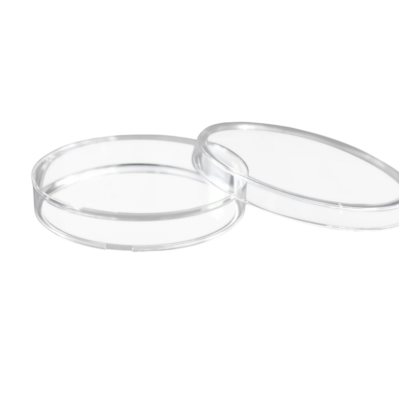 Circular culture dish 100mm