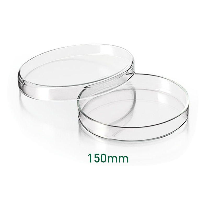 Circular plastic culture dish 150MM