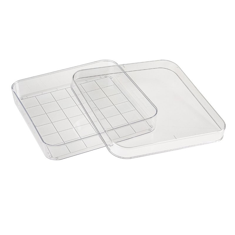 Square culture dish 100mm