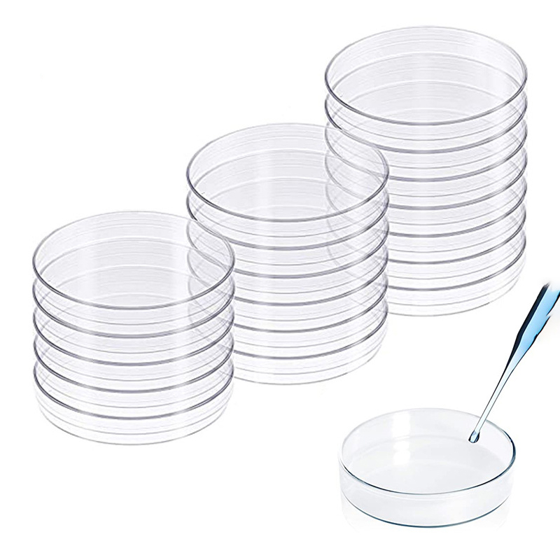 Circular plastic culture dish 150MM