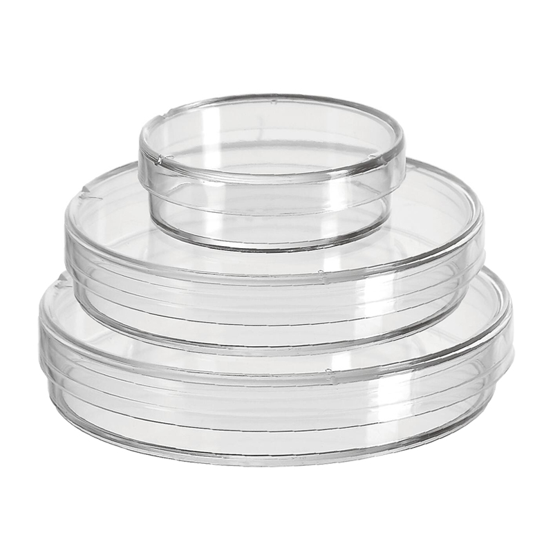 150mm petri dish A1008