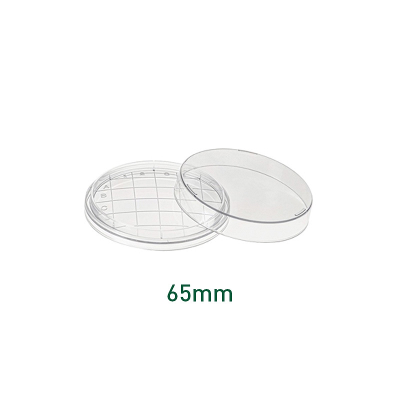 Circular grid culture dish 65mm