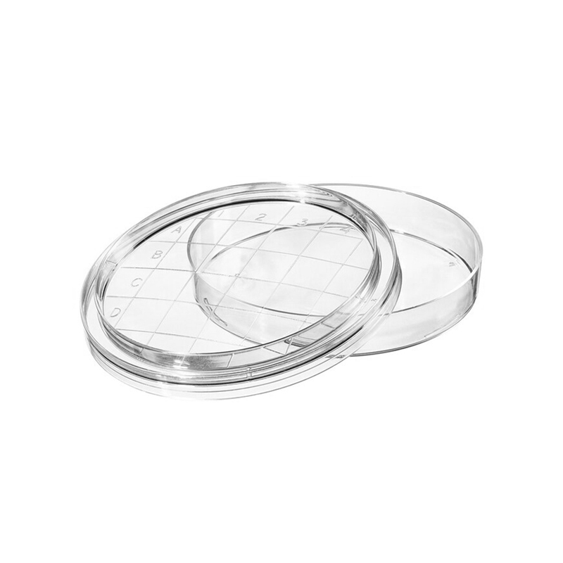 55mmc petri dish A1003