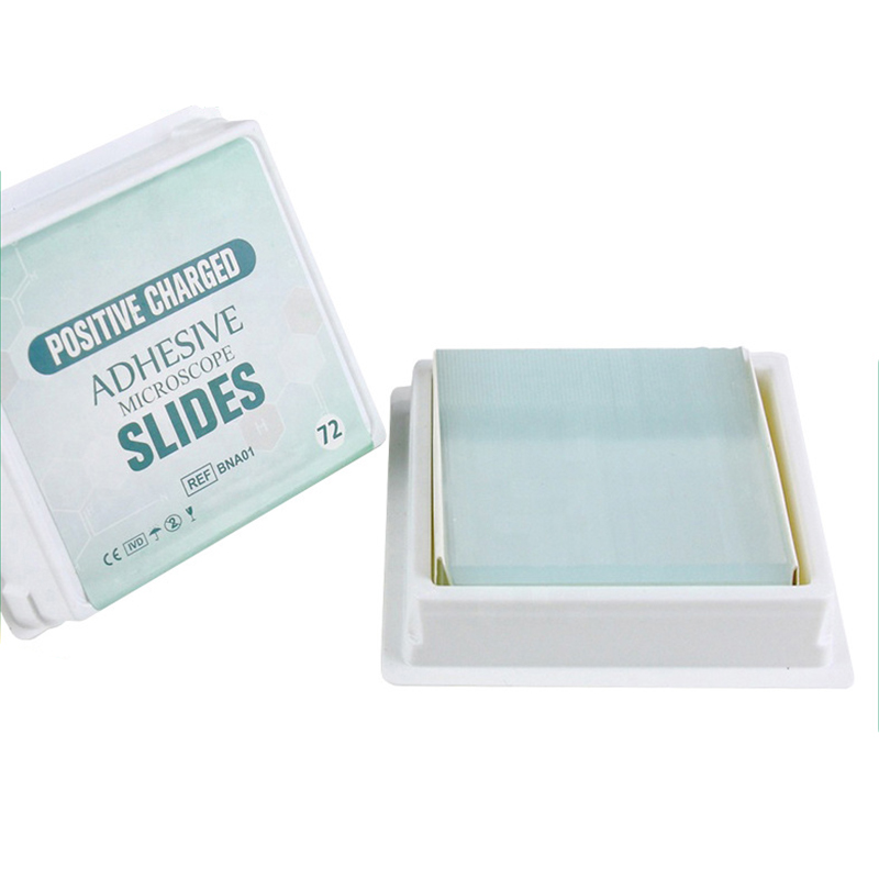 Adhesive glass slide