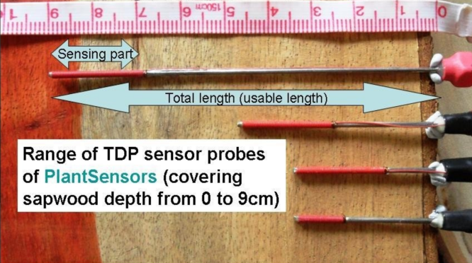 PlantSensors PS-TDP8 树木茎流监测系统