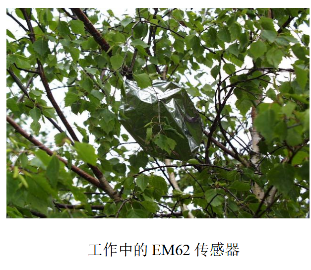 EMS62多通道植物茎流测量系统（通常适用于小枝、苗木和作物等）