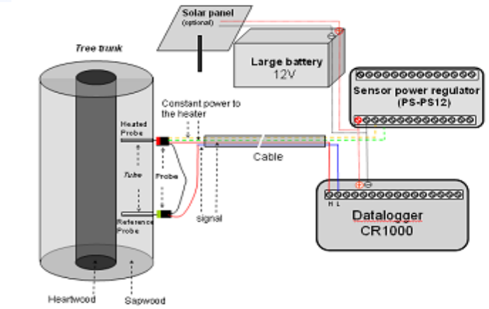 PlantSensors PS-TDP8 树木茎流监测系统