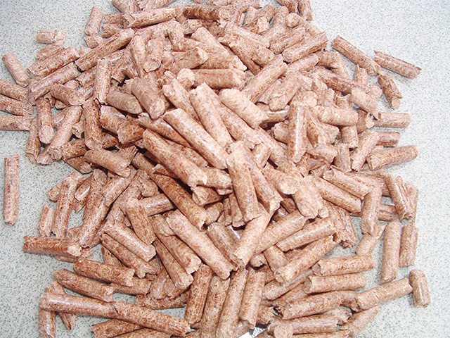 生物质燃料4