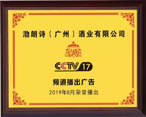 CCTV 频道播出广告