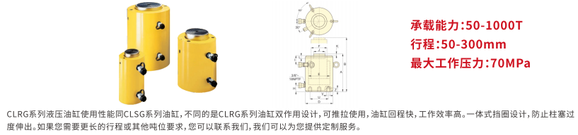 CLRG系列双作用大吨位液压油缸 (2)