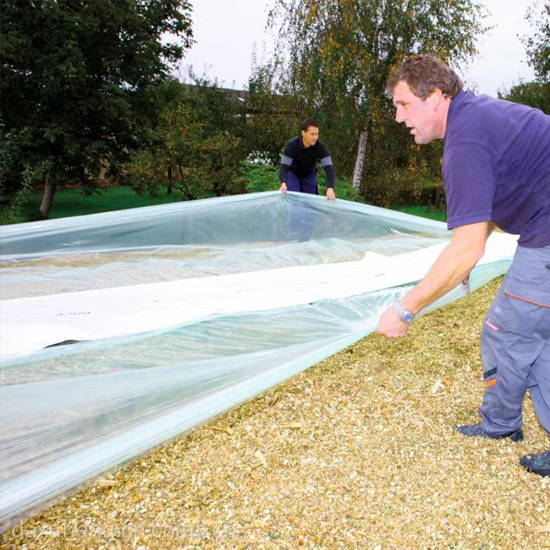 Under-layer Vacuum Film