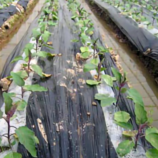 Black And White Mulching Film