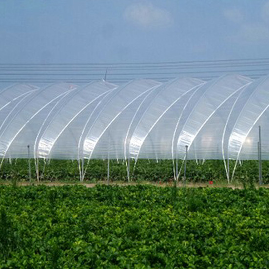 Greenhouse Film