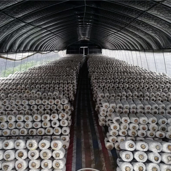 Black and White Silage Film