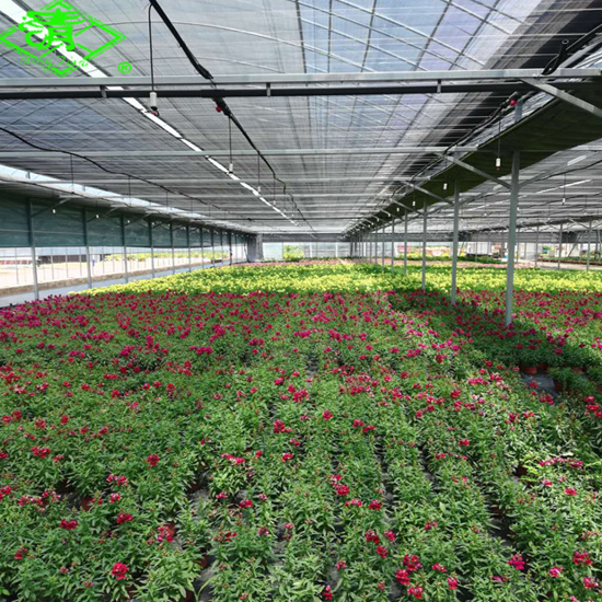 Greenhouse Film