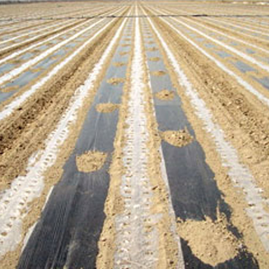 Black And White Mulching Film