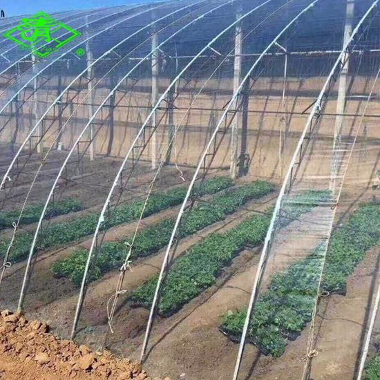 Greenhouse Film