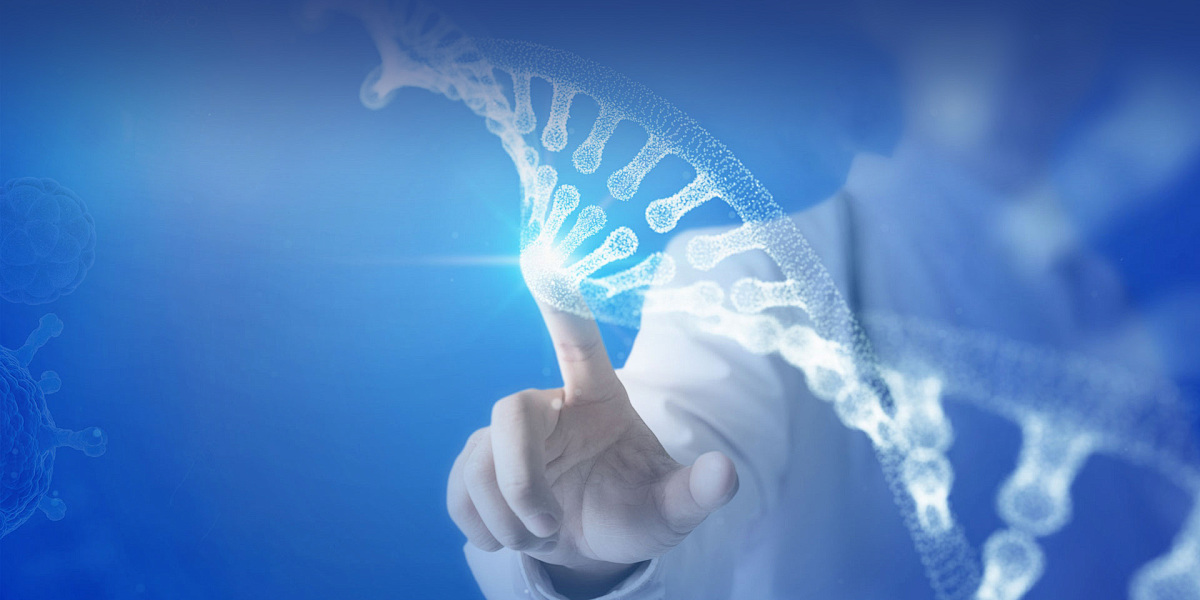 国内首个电碳生态地图发布