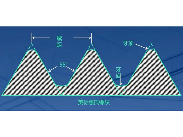 图片11