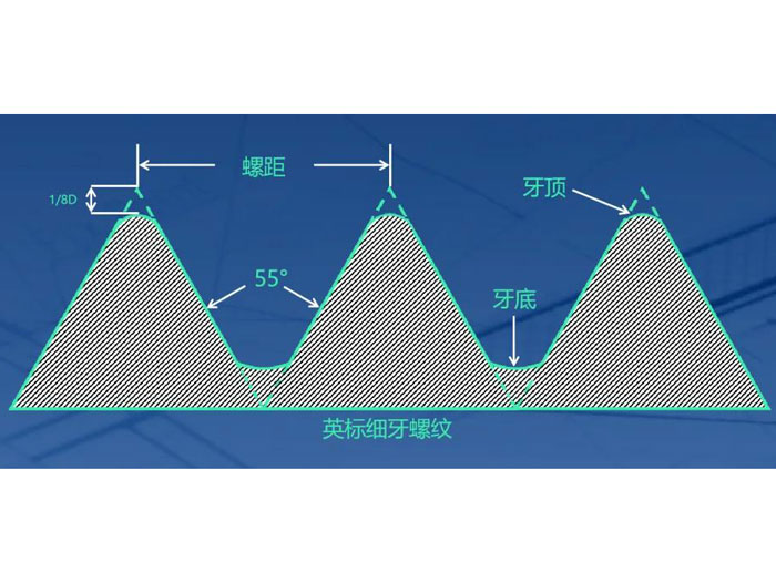 图片12