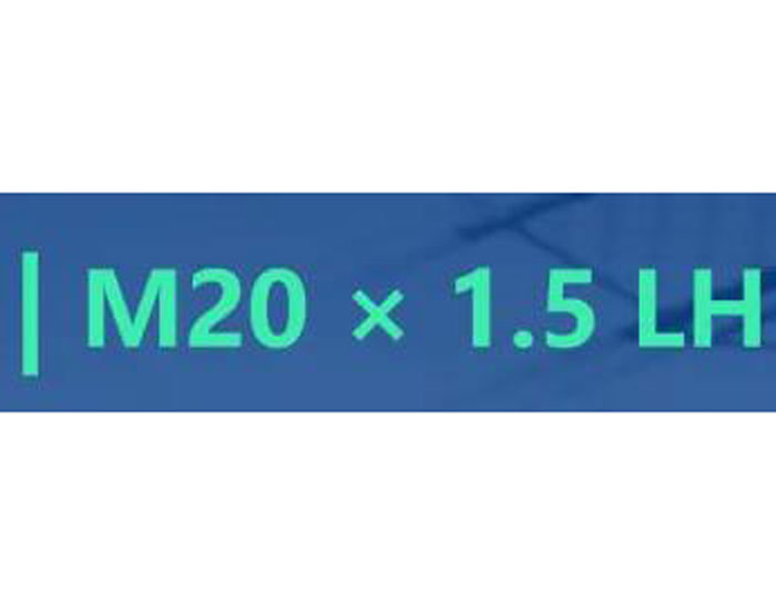 图片20