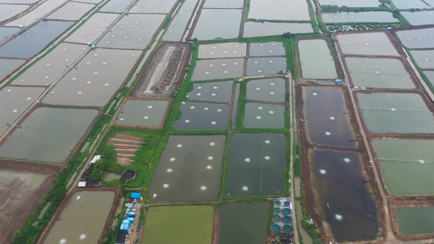 珠海养殖基地1