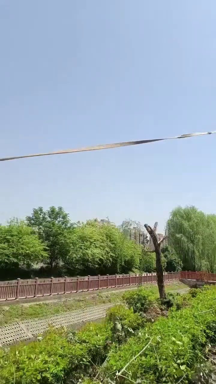 行到树修剪